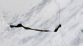 Dramatic Iceberg Breakup in Antarctica Has Scientists Even More Worried